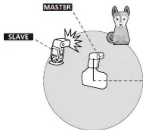 MASTER SLAVE
