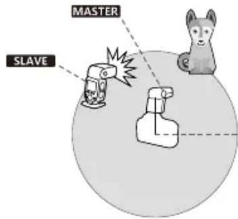 MASTER SLAVE