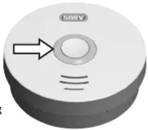 ABUS RWM120 - Testen van de elektronica - 1