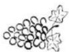 Eta Gratussino Maxo II 0023 90080 - Popis (obr. 8) - 1
