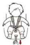 Cangaroo Pilot - Länge des Sicherheitsgurtes einstellen - 1