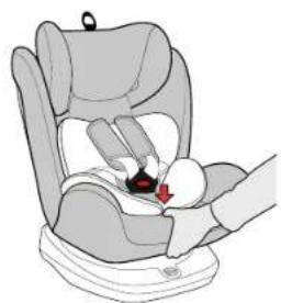 Cangaroo Pilot - ADJUST THE RECLINE ANGLE OF THE SEAT - 1
