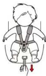 Cangaroo Pilot - ADJUST THE LENGTH OF THE HERNESS - 1