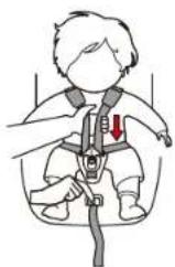 Cangaroo Pilot - ADJUST THE LENGTH OF THE HERNESS - 2