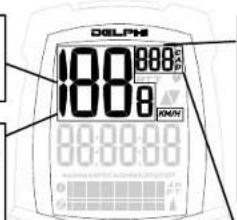 D&LPHI 100 8 0/4N 8888888