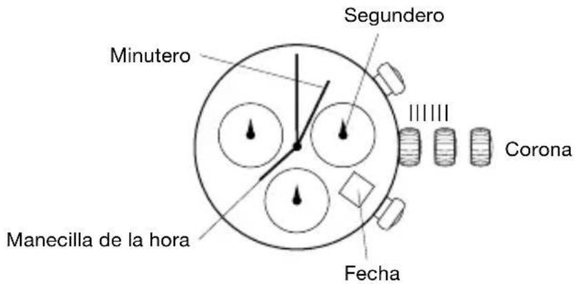 Minutero Segundero Corona Manecilla de la hora Fecha