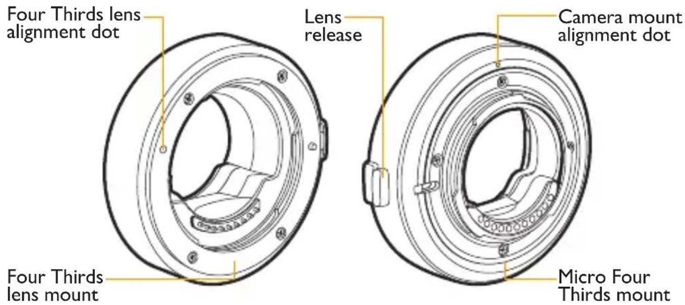 Four Thirds lens alignment dot Lens release Camera mount alignment dot Four Thirds lens mount Micro Four Thirds mount