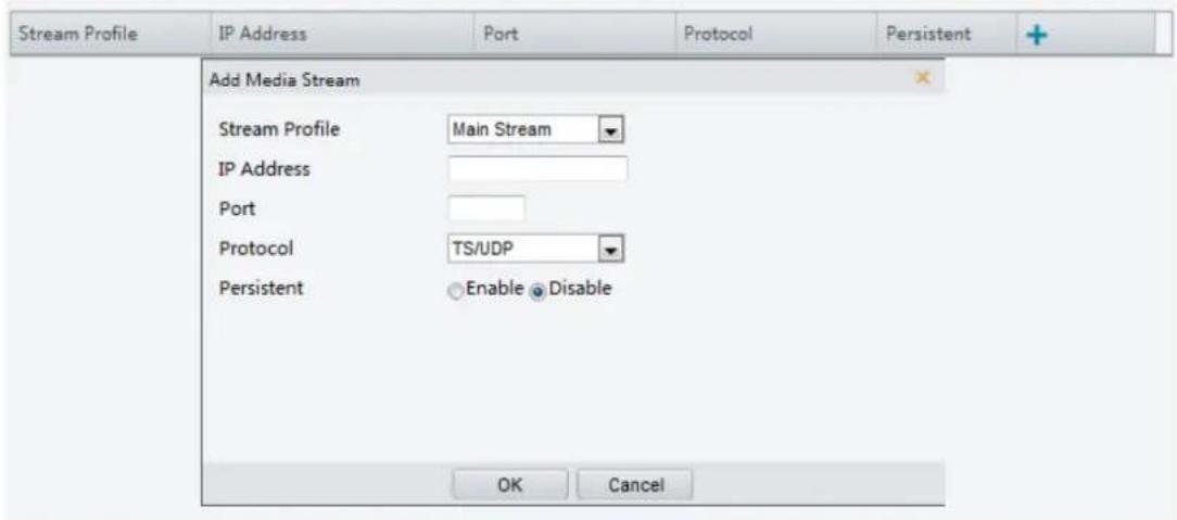 Stream Profile IP Address Port Protocol Main Stream IP Address Port TS/UDP Persistent Enable Disable OK Cancel