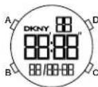 DKNY Modernist NY2636 - 스플릿 타임 - 1