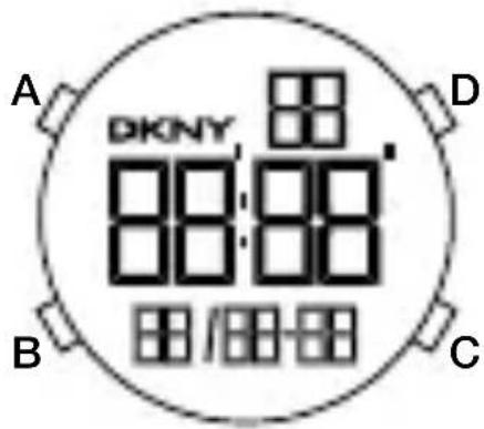 A DKNY 88:88 B C