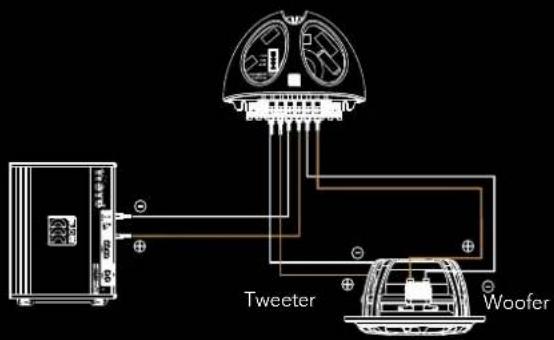 Tweeter Woofer