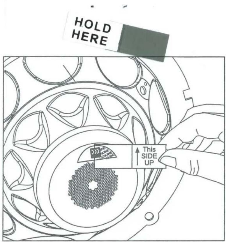 HOLD HERE This SIDE UP