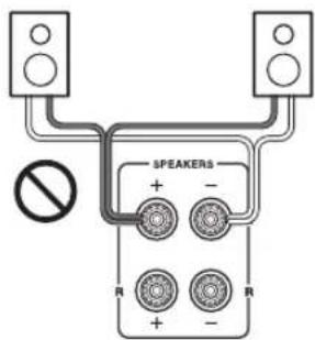 SPEAKERS + - R + - R
