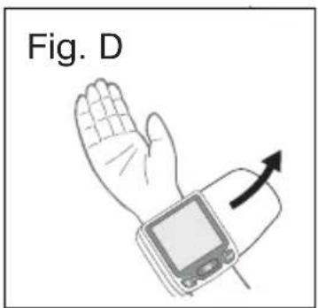 Fig. D