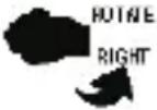 Walgreens WGNBPW-720 - WRIST POSITIONING GUIDE - 4