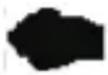 Walgreens WGNBPW-720 - WRIST POSITIONING GUIDE - 6