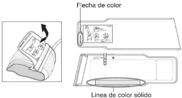 Flecha de color Línea de color sólido