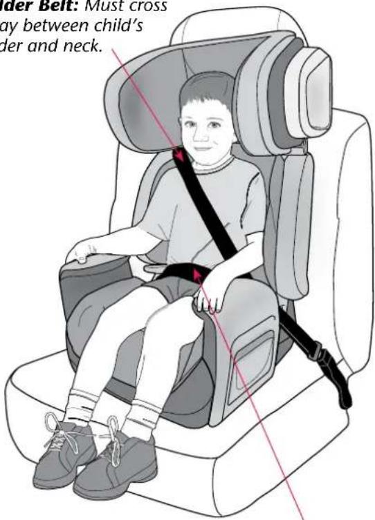 Evenflo Spectrum - Child Requirements - 1