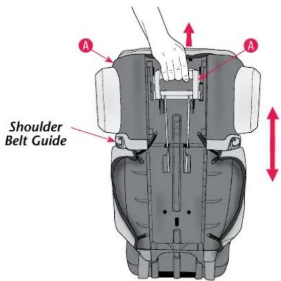 Evenflo Spectrum - Adjusting the Headrest - 1