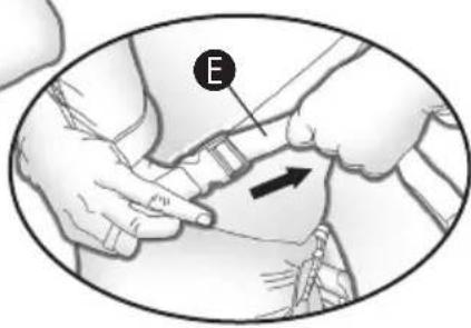 Evenflo Active - WARNING - 3