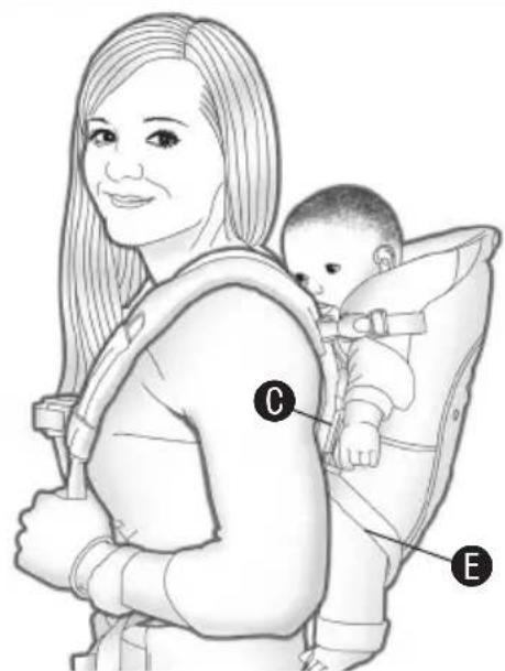 Evenflo Active - 3 - 5