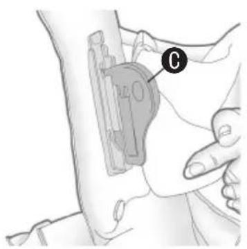 Evenflo Active - 2 - 1
