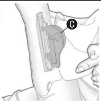 Evenflo Active - 2 - 1