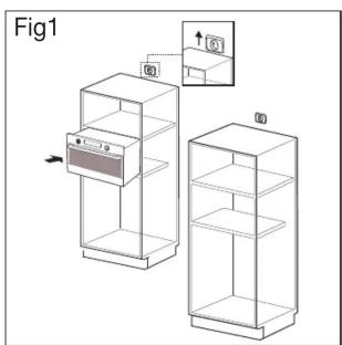 Fig1