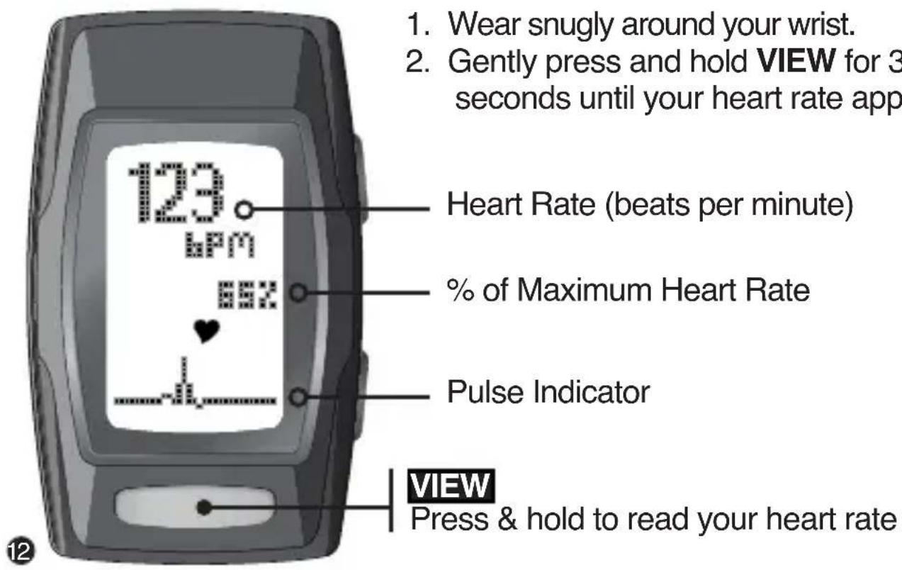 1. Wear snugly around your wrist. 2. Gently press and hold VIEW for 3 seconds until your heart rate app Heart Rate (beats per minute) % of Maximum Heart Rate Pulse Indicator VIEW Press & hold to read your heart rate