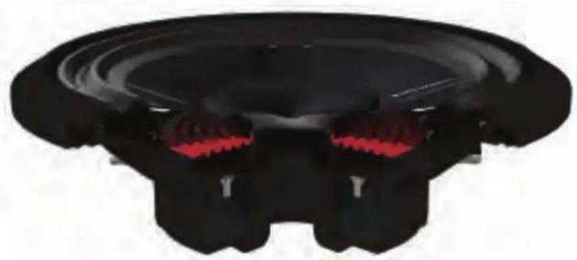 Rockford Fosgate Prime R2S-1X10 - SPIDER - 2
