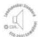Rockford Fosgate Punch P1675-S - CAUTION - 1