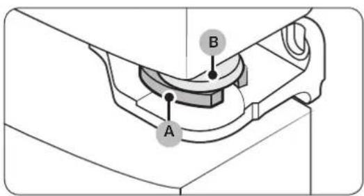 A B