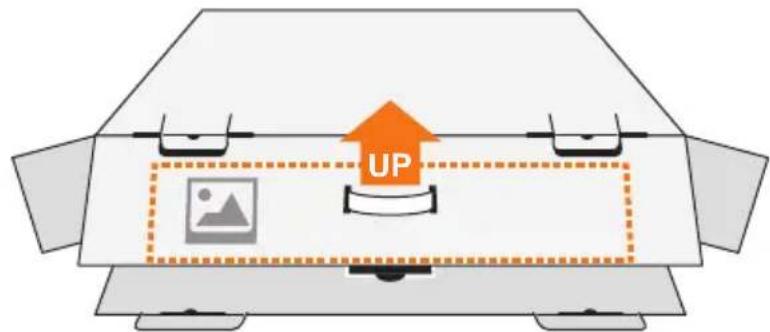 UP