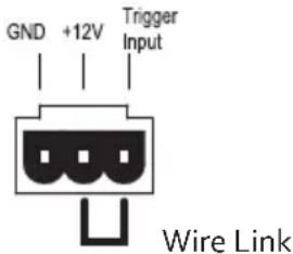GND +12V Trigger Input Wire Link