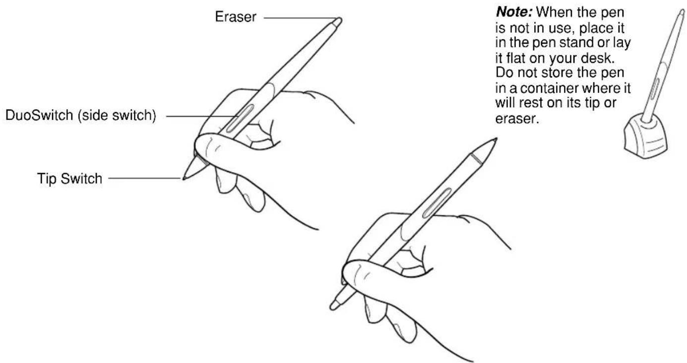 Eraser DuoSwitch (side switch) Tip Switch Note: When the pen is not in use, place it in the pen stand or lay it flat on your desk. Do not store the pen in a container where it will rest on its tip or eraser.
