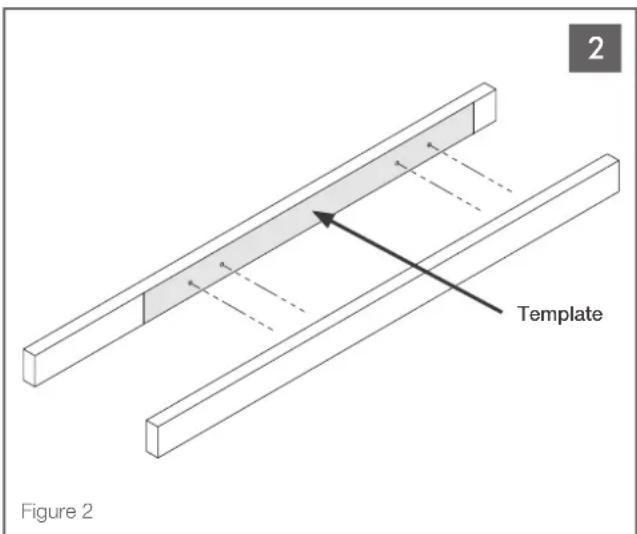 2 Template Figure 2