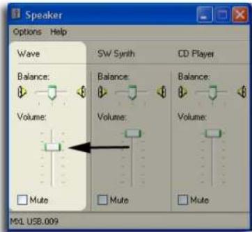 Speaker Options Help Wave SW Synth CD Player Balance: Balance: Balance: Volume: Volume: Mute Mute Mute M01 USB.009