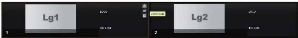 Lg1 LOGO 302 x 264 Capture Logo Lg2 LOGO 442 x 365