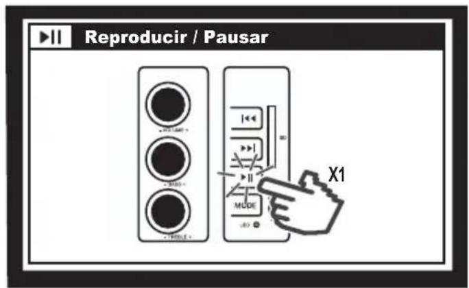 Reproducir / Pausar X1