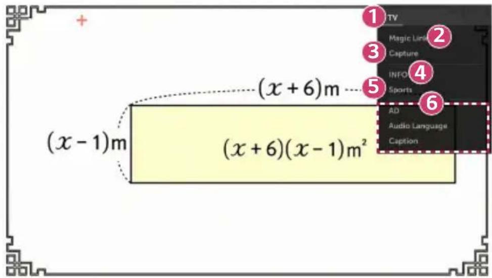 (x - 1)m (x + 6)m (x + 6)(x - 1)m² TV Magic Link Capture INFO Sports AD Audio Language Caption