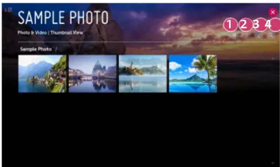 SAMPLE PHOTO Photo & Video | Thumbnail View Sample Photo / 1 2 3 4