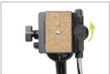 Magnus VPH-20 - Mounting Your Camera on the VPH-20 - 1