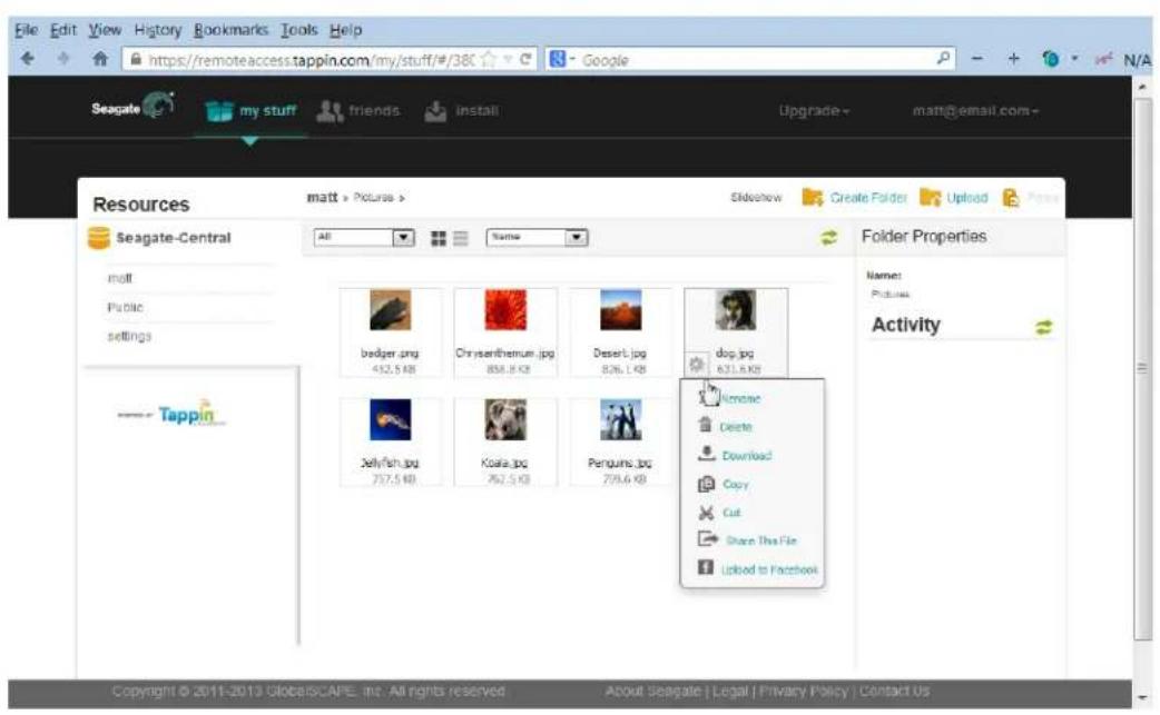 SEAGATE STCG4000100 - Using Seagate Remote Access with a Web Browser - 1