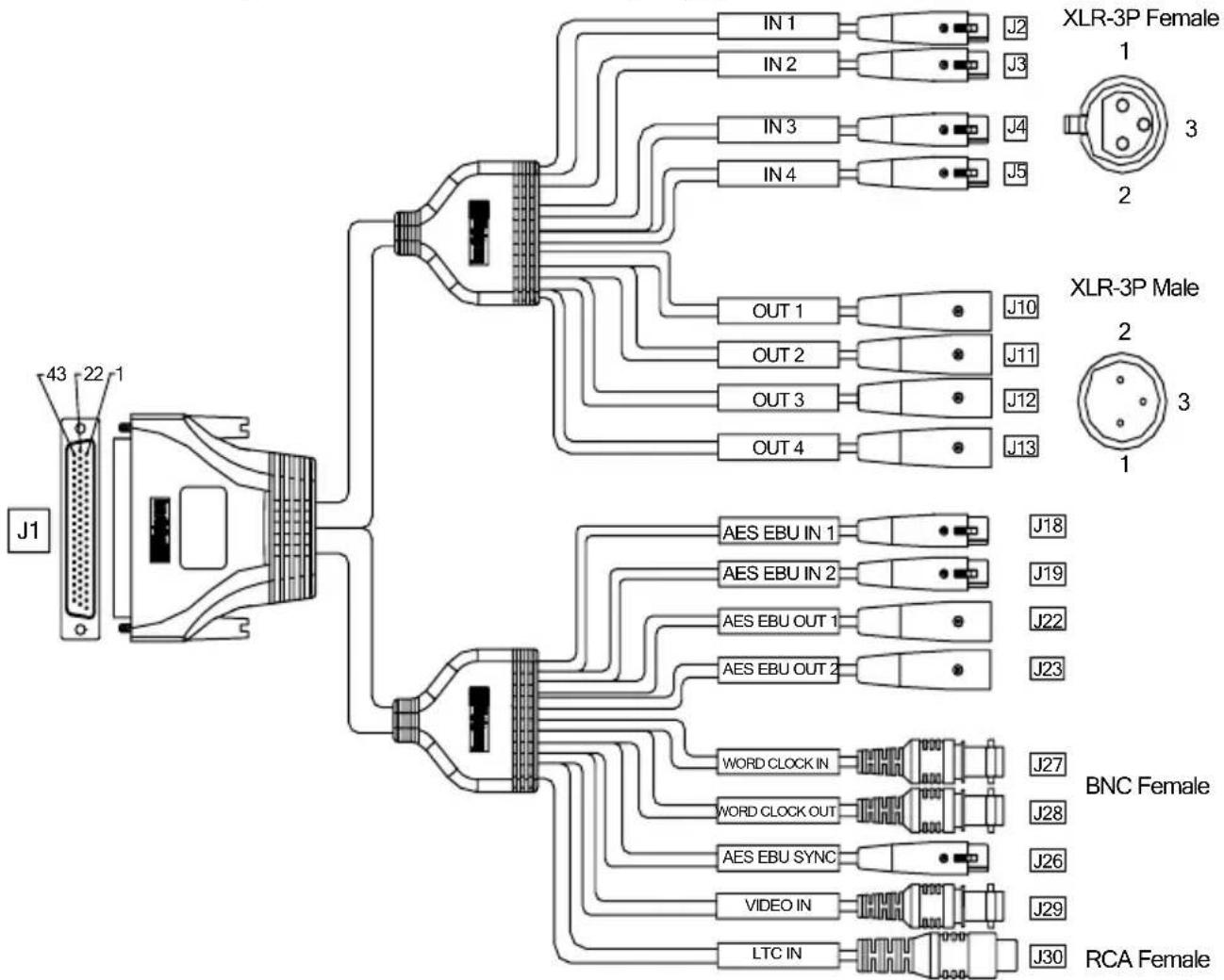 J1 43 22 1 IN 1 J2 IN 2 J3 IN 3 J4 IN 4 J5 OUT 1 J10 OUT 2 J11 OUT 3 J12 OUT 4 J13 AES EBU IN 1 J18 AES EBU IN 2 J19 AES EBU OUT 1 J22 AES EBU OUT 2 J23 WORD CLOCK IN J27 WORD CLOCK OUT J28 AES EBU SYNC J26 VIDEO IN J29 LTC IN J30 XLR-3P Female 1 3 2 XLR-3P Male 2 3 1 BNC Female RCA Female