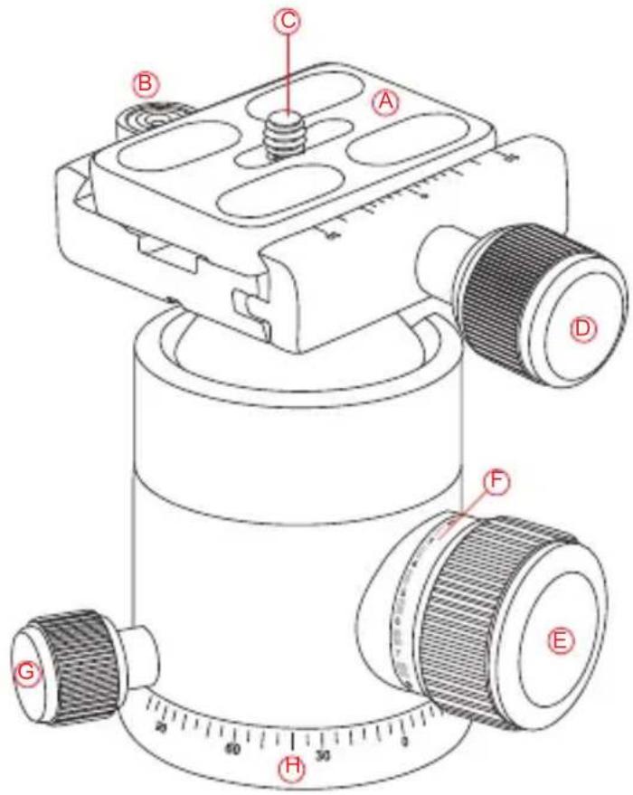 Technical diagram of a mechanical device with labeled parts A through H, including a central threaded component and a dial indicator.