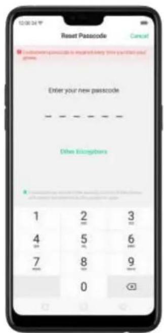 12:00:34 Reset Passcode Cancel Enter your new passcode D other isochangers 1 2 3 4 5 6 7 8 9 0