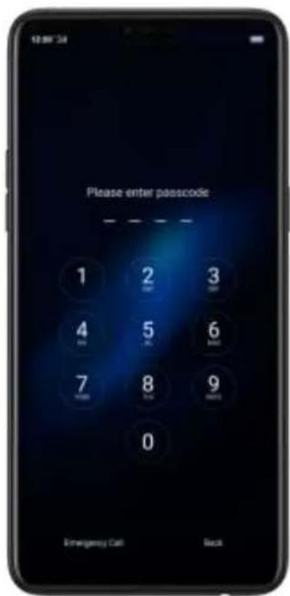 Please enter passcode 1 2 3 0 1 2 3 4 5 6 7 8 9 0 Emergency Call Back