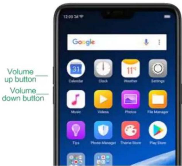 12:00 PM Google Volume_up button Volume_down button Calendar Clock Weather Settings Music Videos Photos File Manager Tips Photo Manager Theme Store Play Store