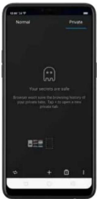Normal Private Your secrets are safe Browser want to save the browsing history of your private tab. Tap + to open a new private tab.