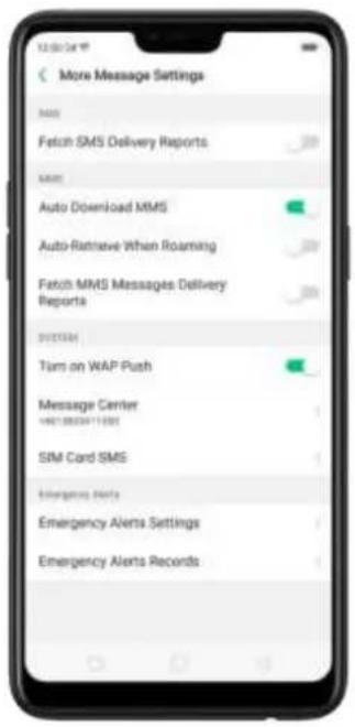 More Message Settings NAME Fetch SMS Delivery Reports NAME Auto Download MMS Auto-Retrieve When Roaming Fetch MMS Messages Delivery Reports SINEMA Turn on WAP Push Message Center 14013850471500 SIM Card SMS Emergency Alerts Emergency Alerts Settings Emergency Alerts Records